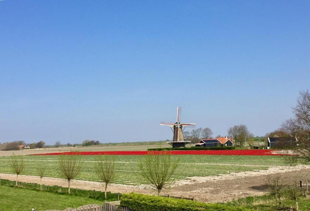 T Huuske Tuinappartement Met Fantastisch Uitzicht, Nabij Zee Zonnemaire Экстерьер фото