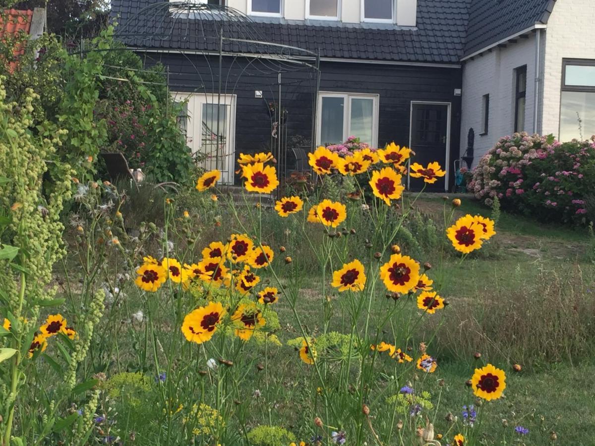 T Huuske Tuinappartement Met Fantastisch Uitzicht, Nabij Zee Zonnemaire Экстерьер фото