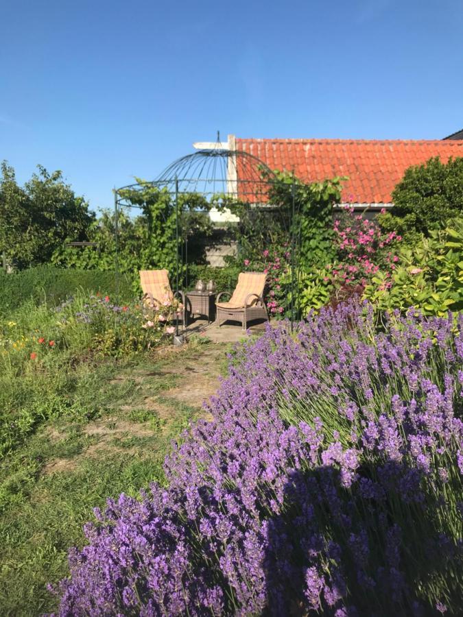 T Huuske Tuinappartement Met Fantastisch Uitzicht, Nabij Zee Zonnemaire Экстерьер фото